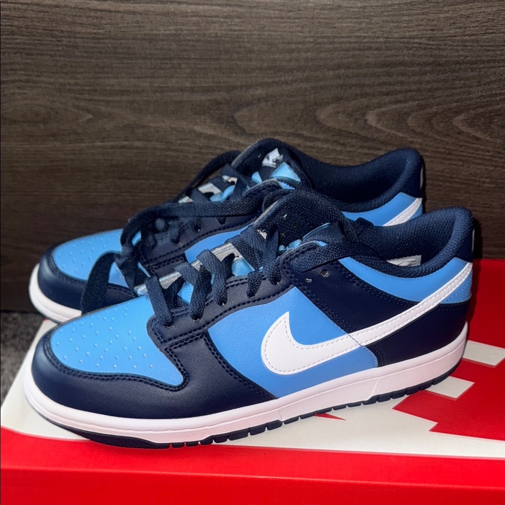 Nike dunks Blue and White